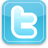 SSBSE Twitter Account